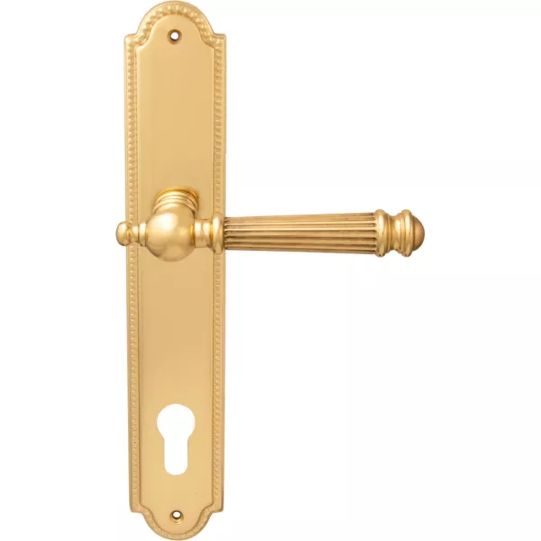 Дверные ручки на планке Melodia 102/458 Cyl Veronica Полированная латунь