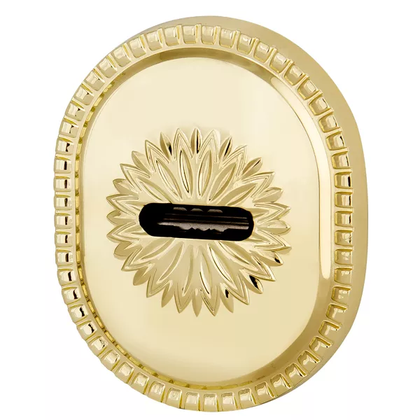 Декоративная накладка Armadillo на сувальдный замок PS-DEC CL (ATC Protector 1) GP Золото