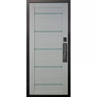 Смарт с Электронным замком панель Эксперт, внутри Соло антрацит