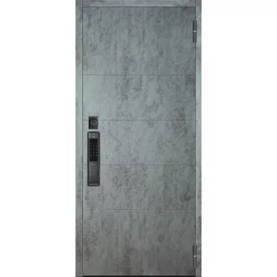 Смарт с Электронным замком панель Дижон, внутри Гауда роял вуд белый