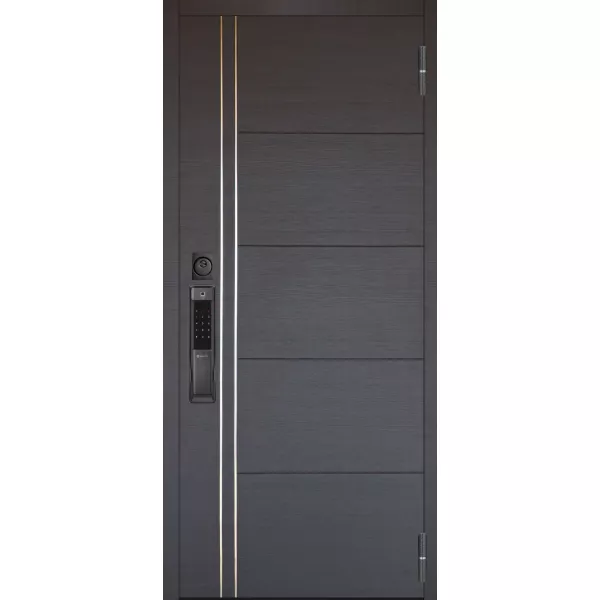 Умная входная дверь Аргус Смарт с Электронным замком Лия черный софт, панель с зеркалом Магнум