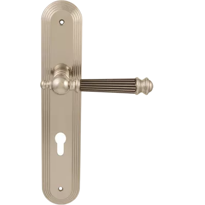 102 Cyl/P 235 Veronica Cеребро